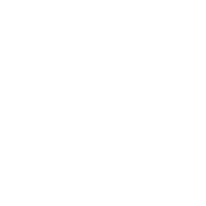 Birdeye Icon