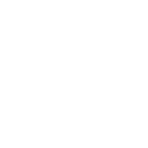 Raydium Icon